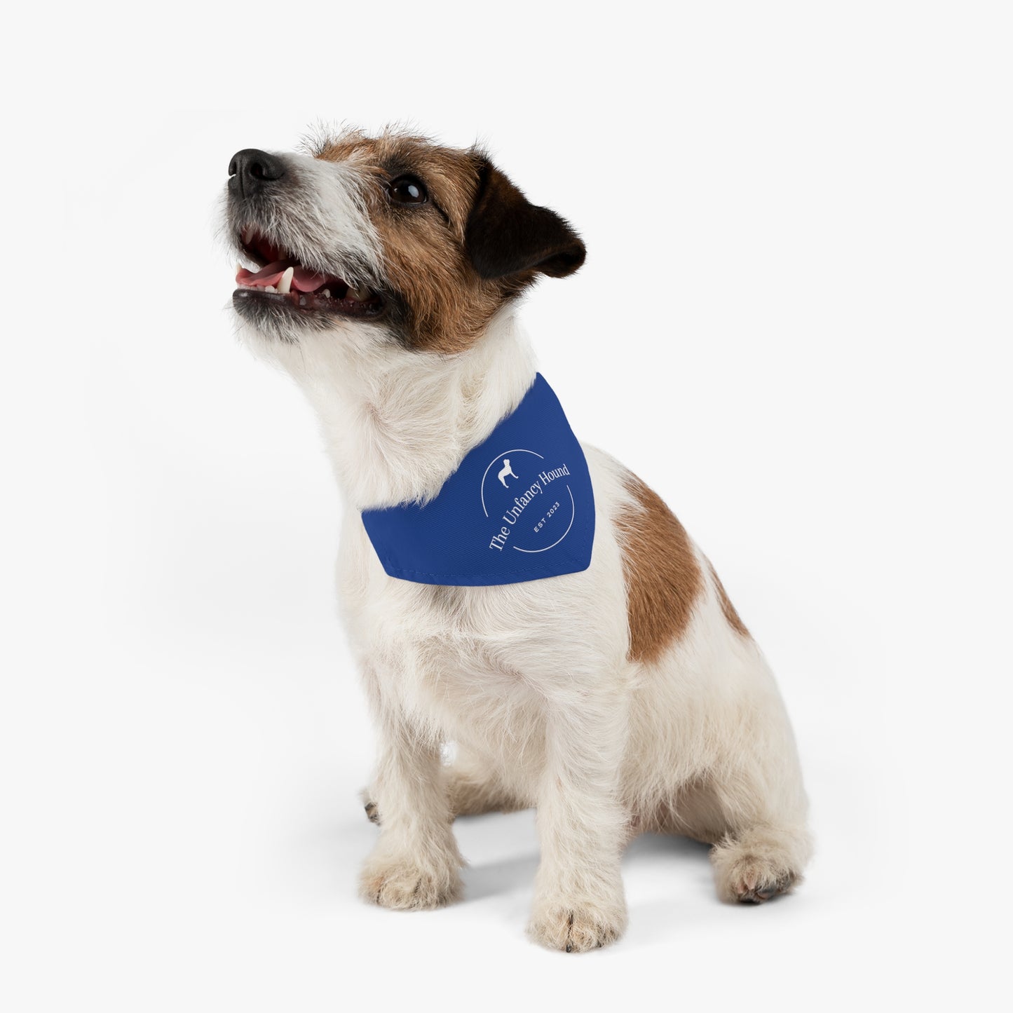 The Unfancy Hound Pet Bandana Collar – Blue