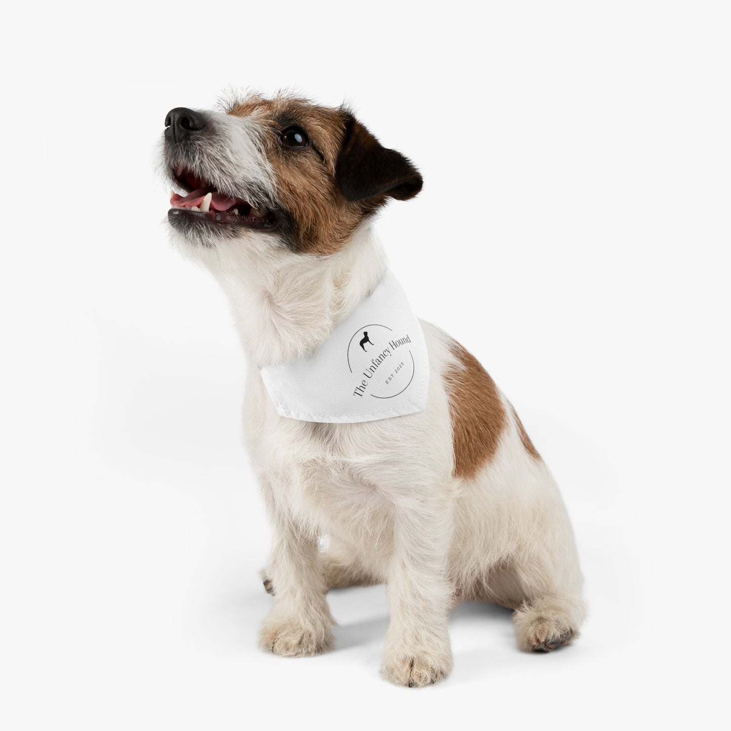 The Unfancy Hound Pet Bandana Collar – White